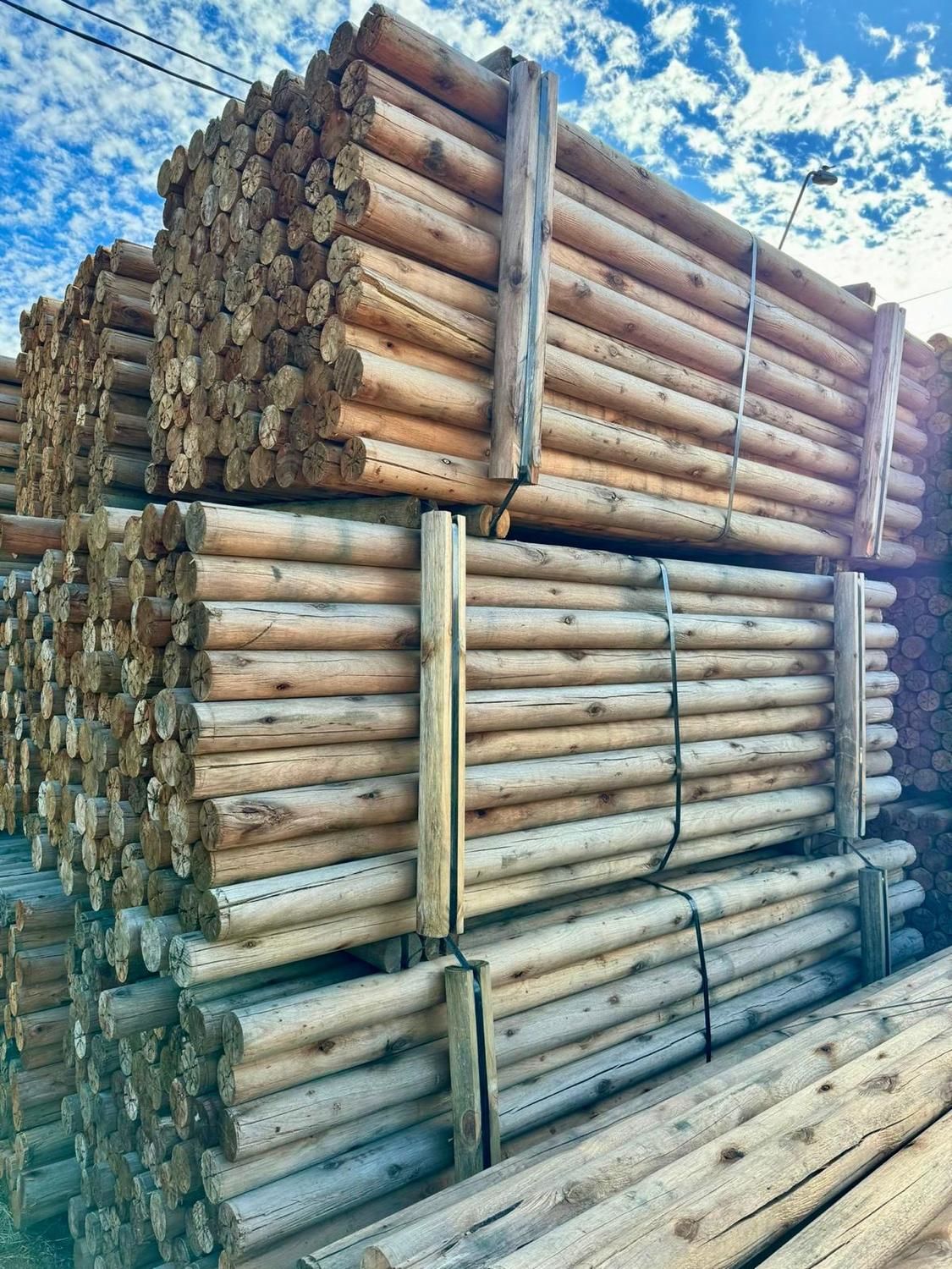 Polines de Madera Eucaliptus Nacional Sin Curar 2.60 m x 9 cm