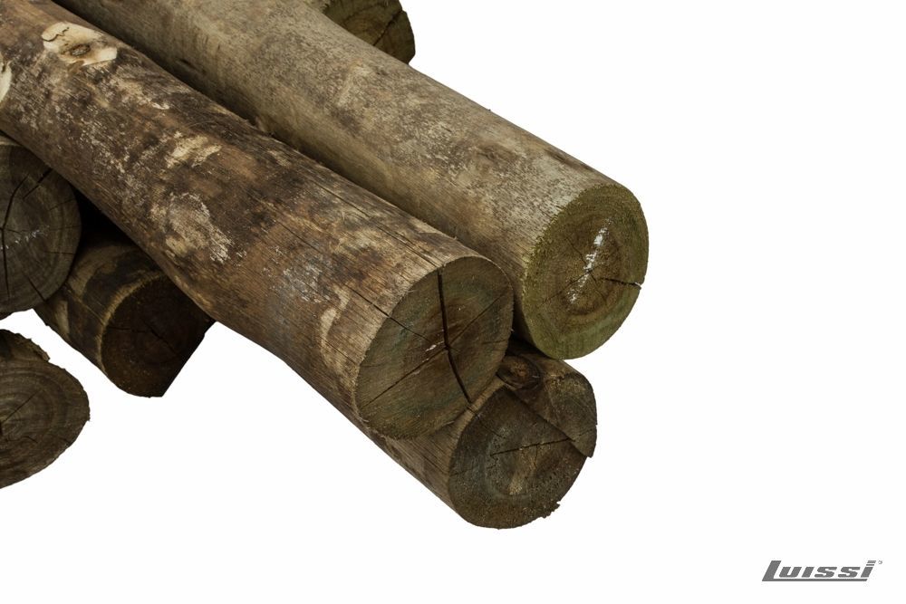 Poste de Eucaliptus CCA 5.00 m de 15 a 18 cm Ø