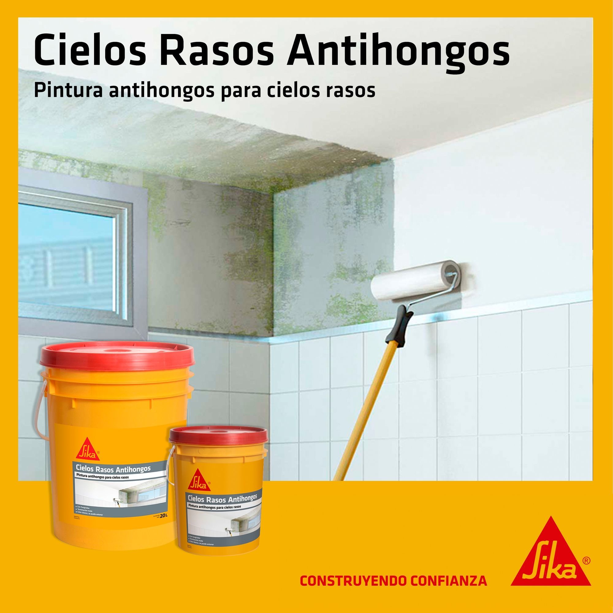 Sika Cielos Rasos Antihongos 4 L