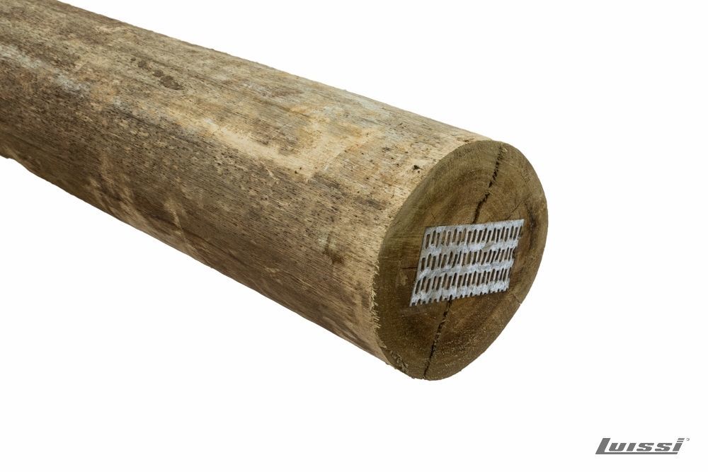 Poste de Eucaliptus CCA 6.00 m de 23 a 26 cm Ø
