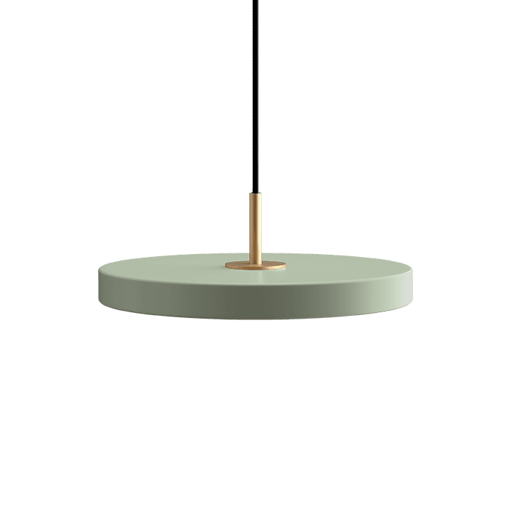 Asteria Mini Olive