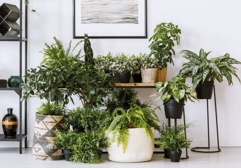 imagen galería