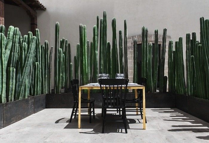 imagen galería