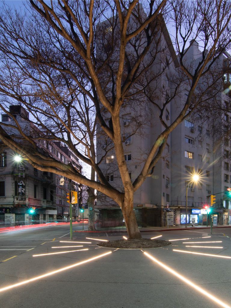 imagen galería