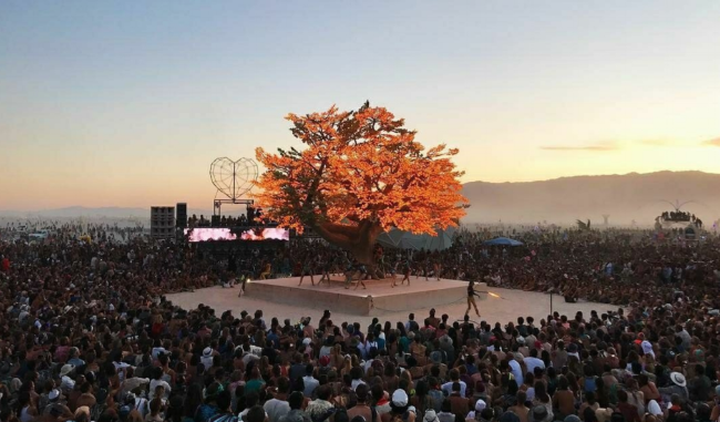 imagen galería