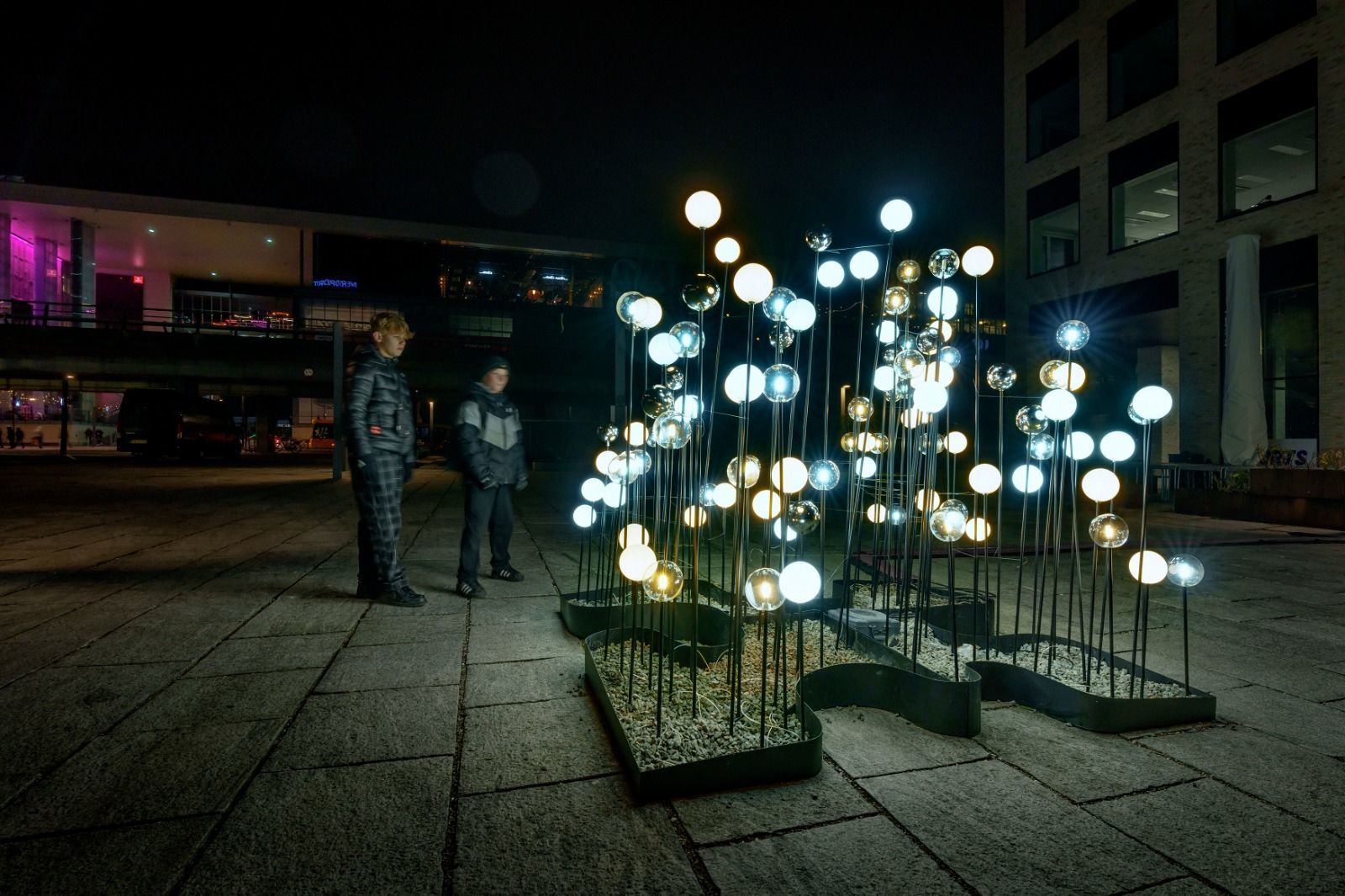 imagen galería