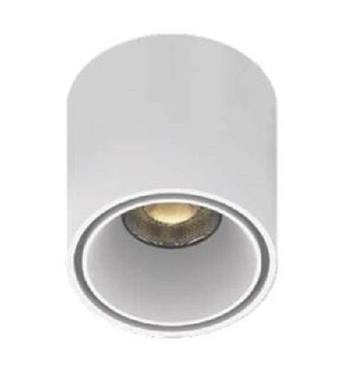 Round Spot Light
