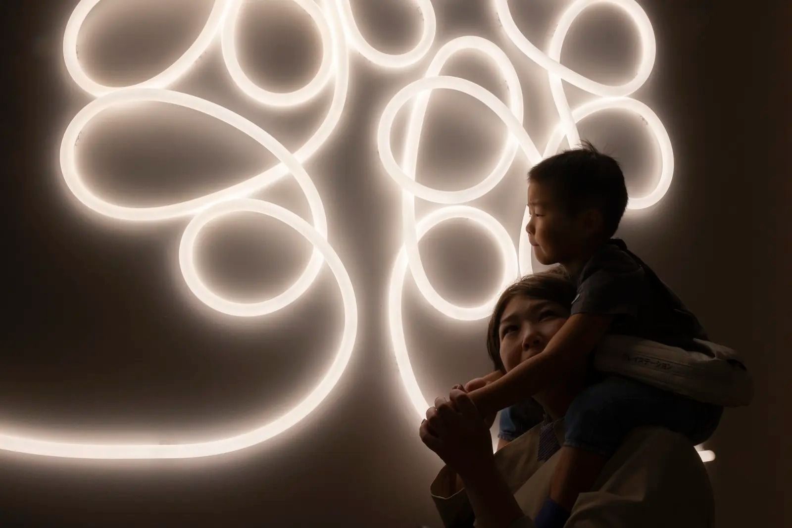 imagen galería