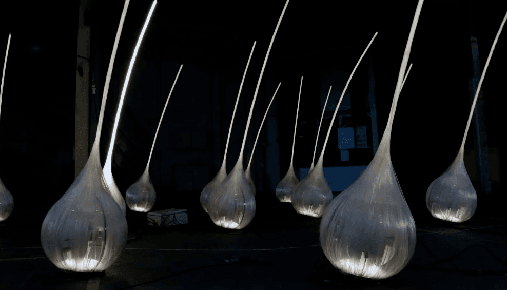 imagen galería