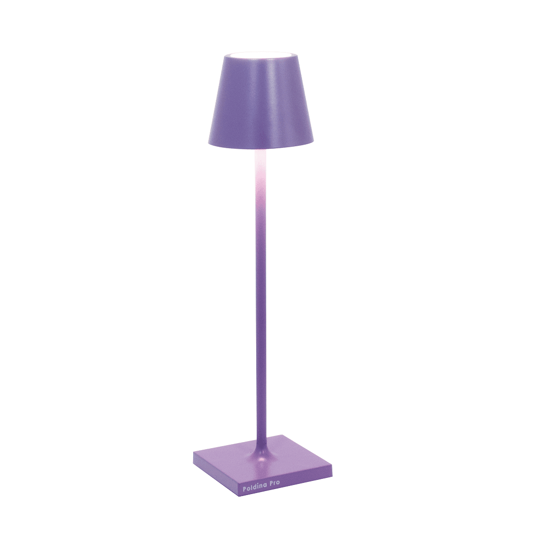 Poldina Micro