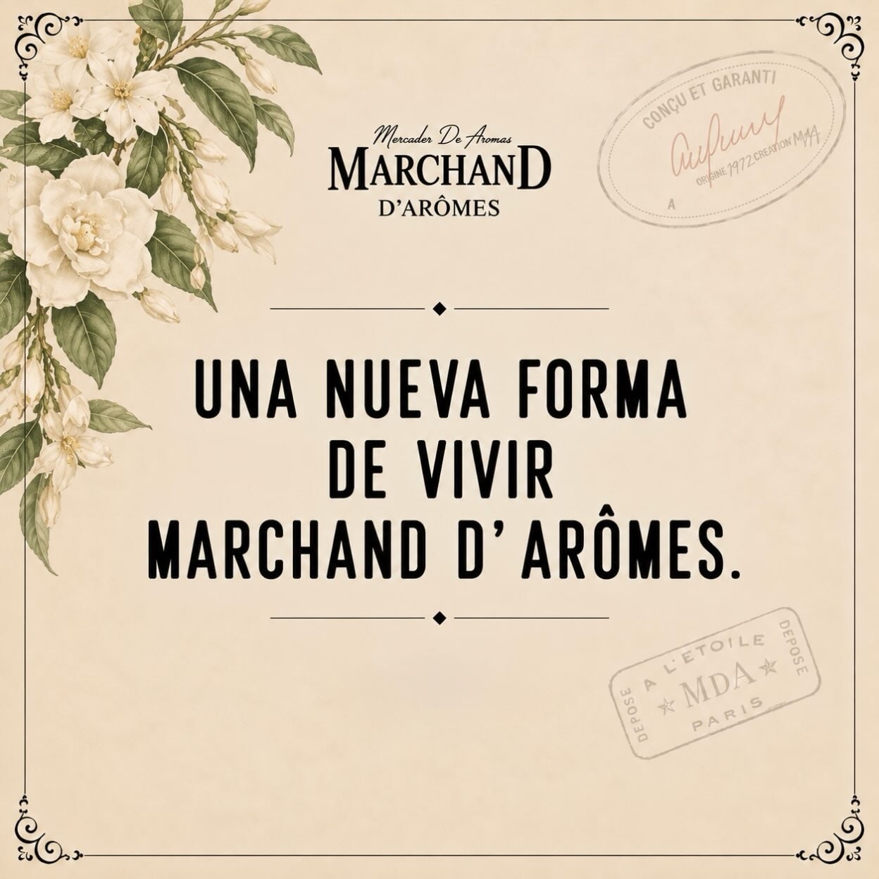 Imagen de posteo de Instagram