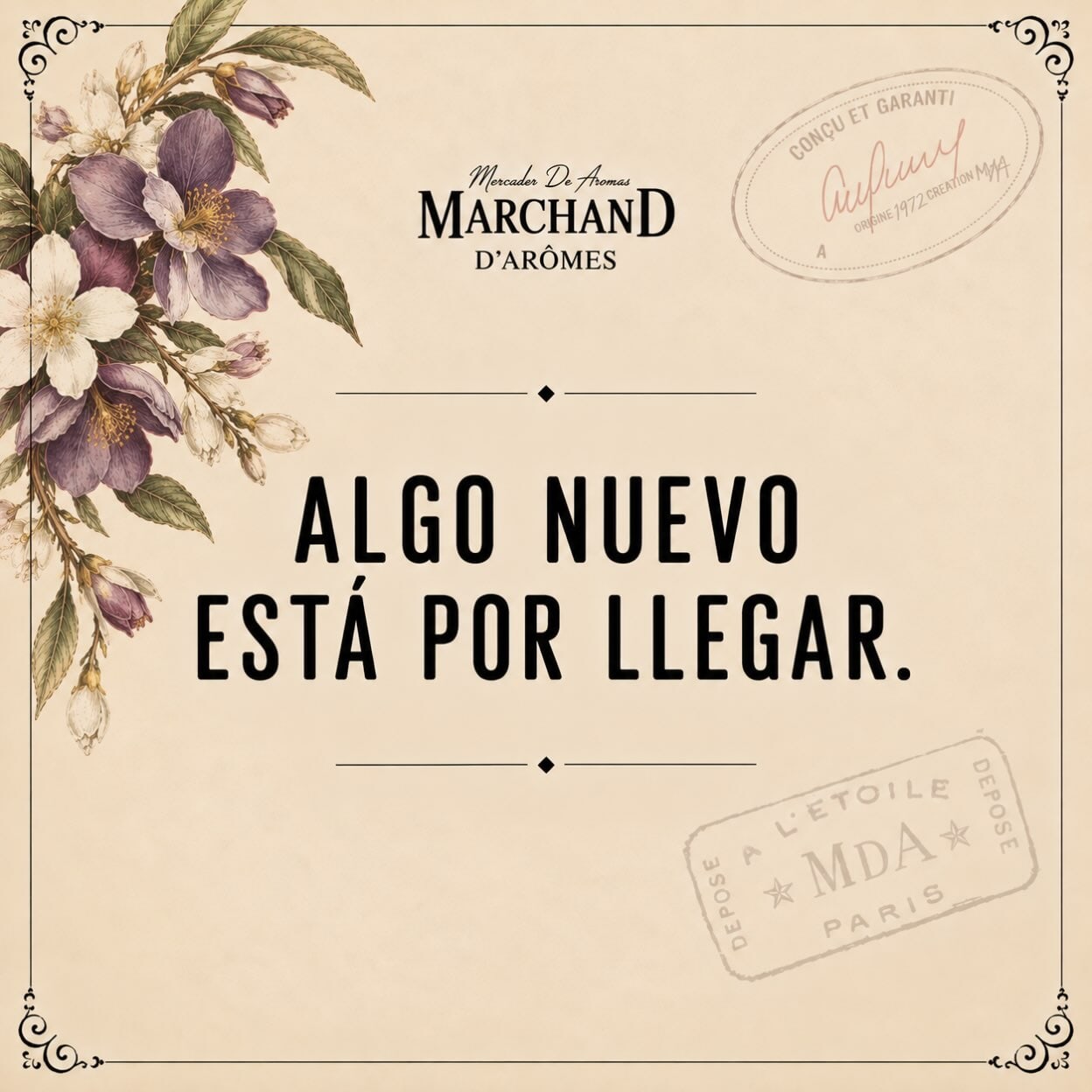 Imagen de posteo de Instagram