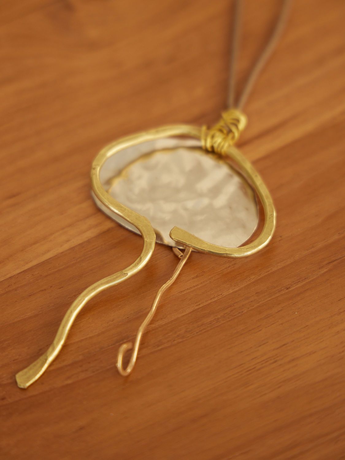 COLLAR JELLYFISH