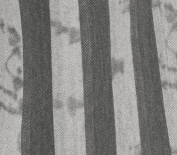 Atolón Stripe Gris