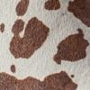 spec image