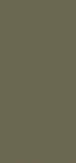VERDE AGAVE