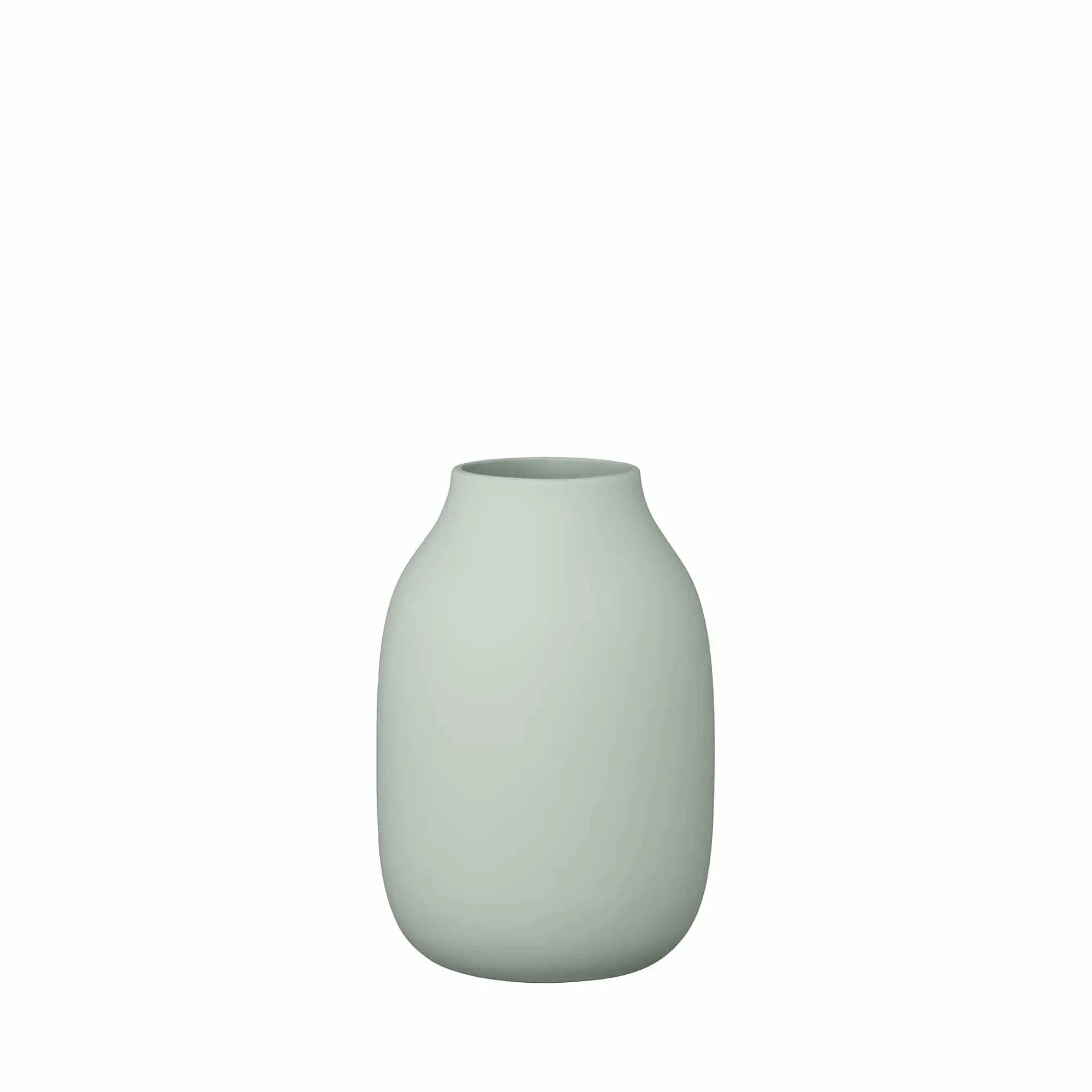 JARRON BLOMUS COLORA S