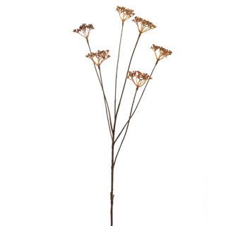 FLOR ARTIFICIAL ANETHUM X6 66CM MARRON