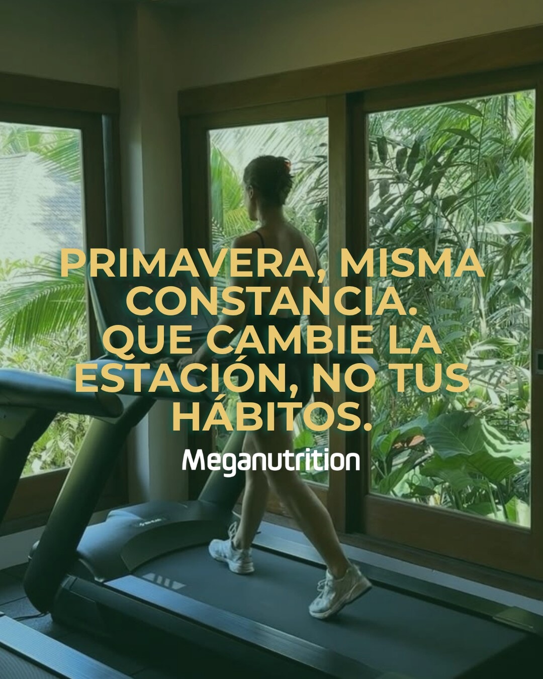 Imagen de posteo de Instagram