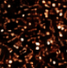 spec image