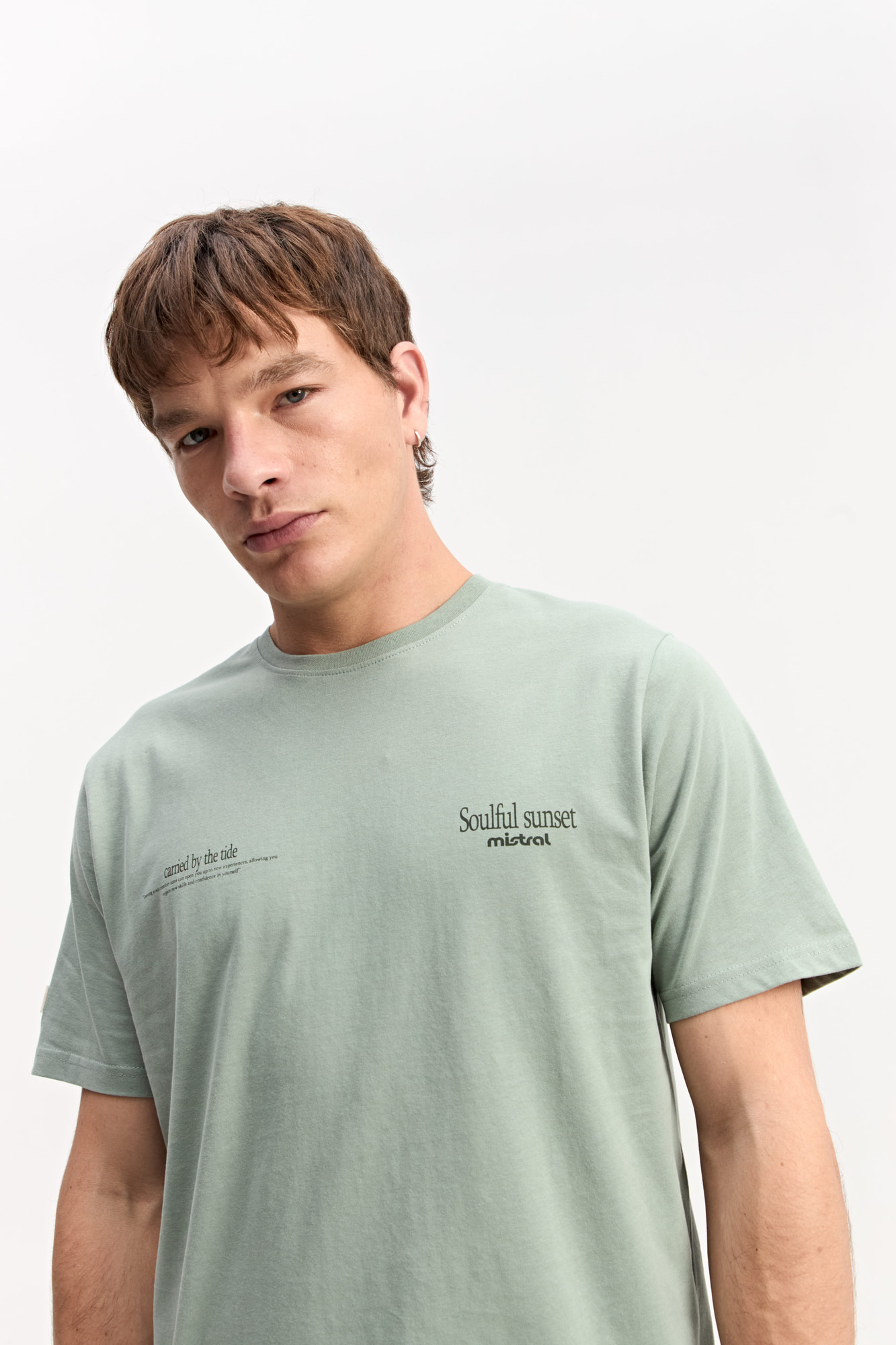 REMERA LION