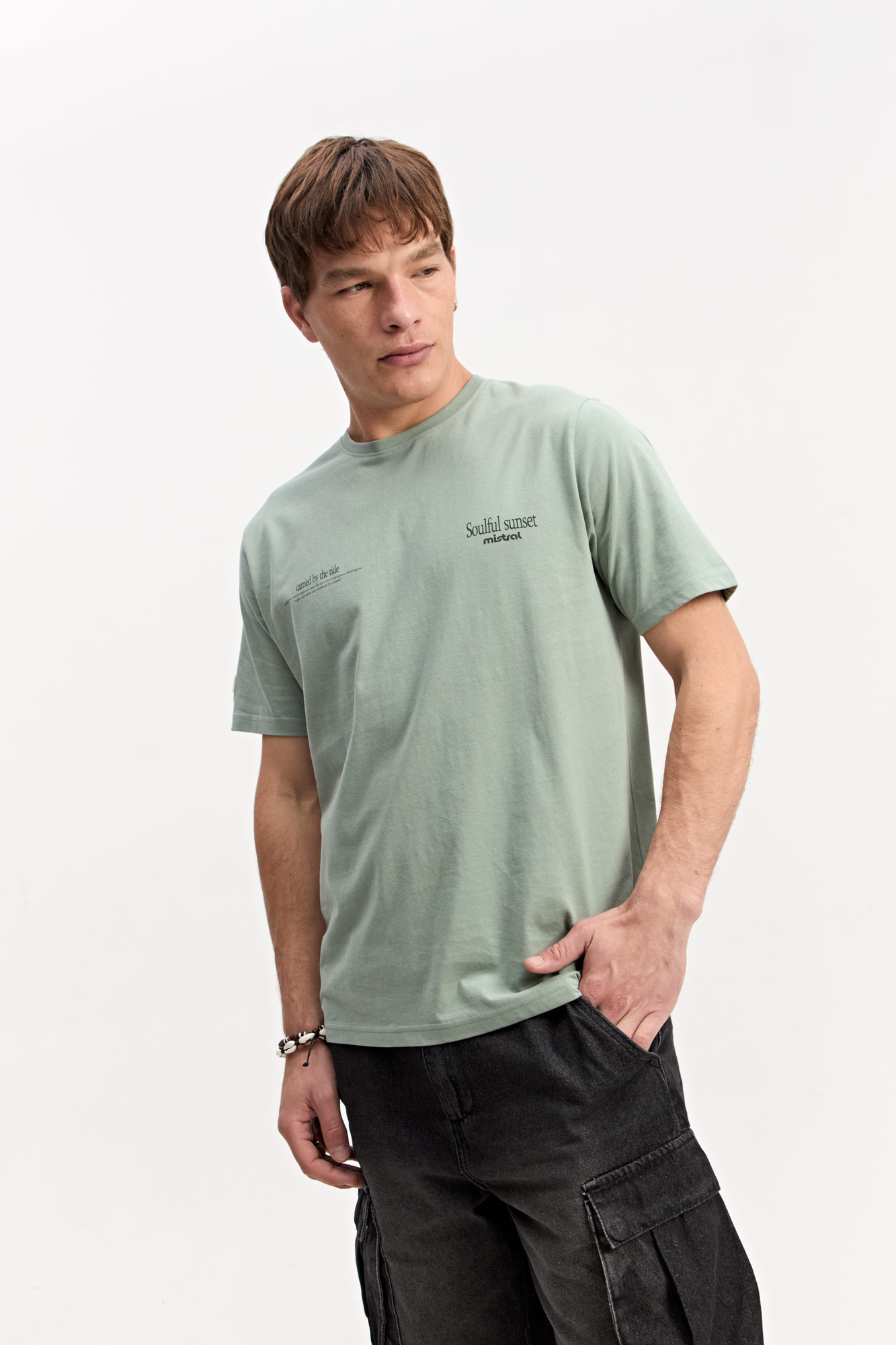 REMERA LION
