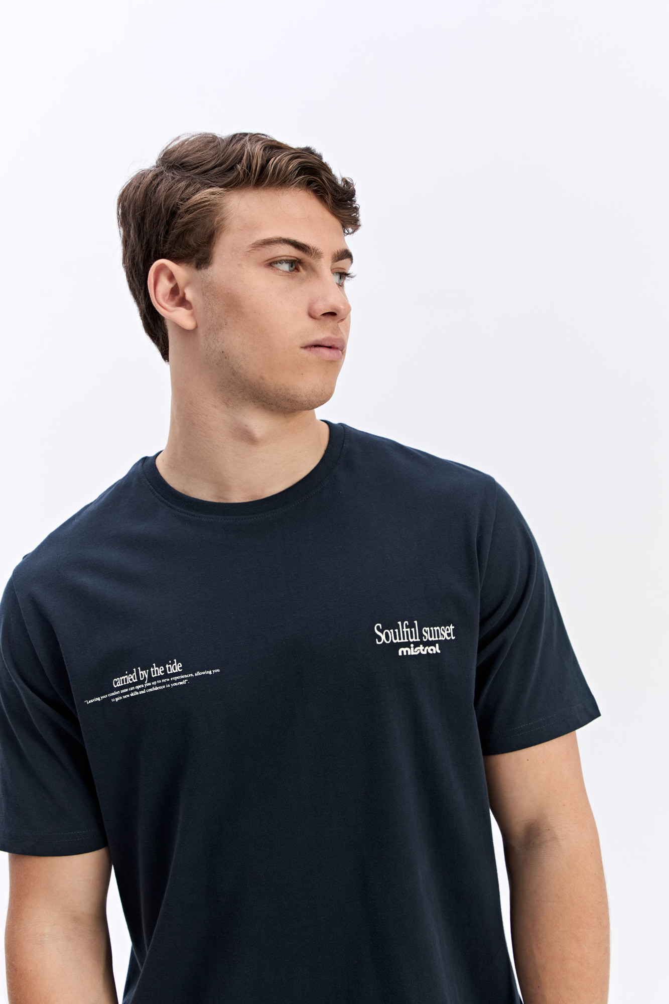 REMERA LION
