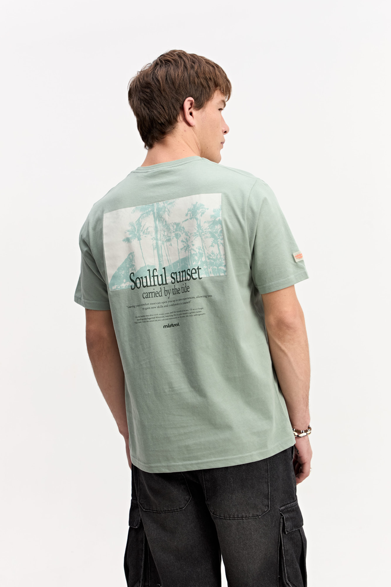 REMERA LION