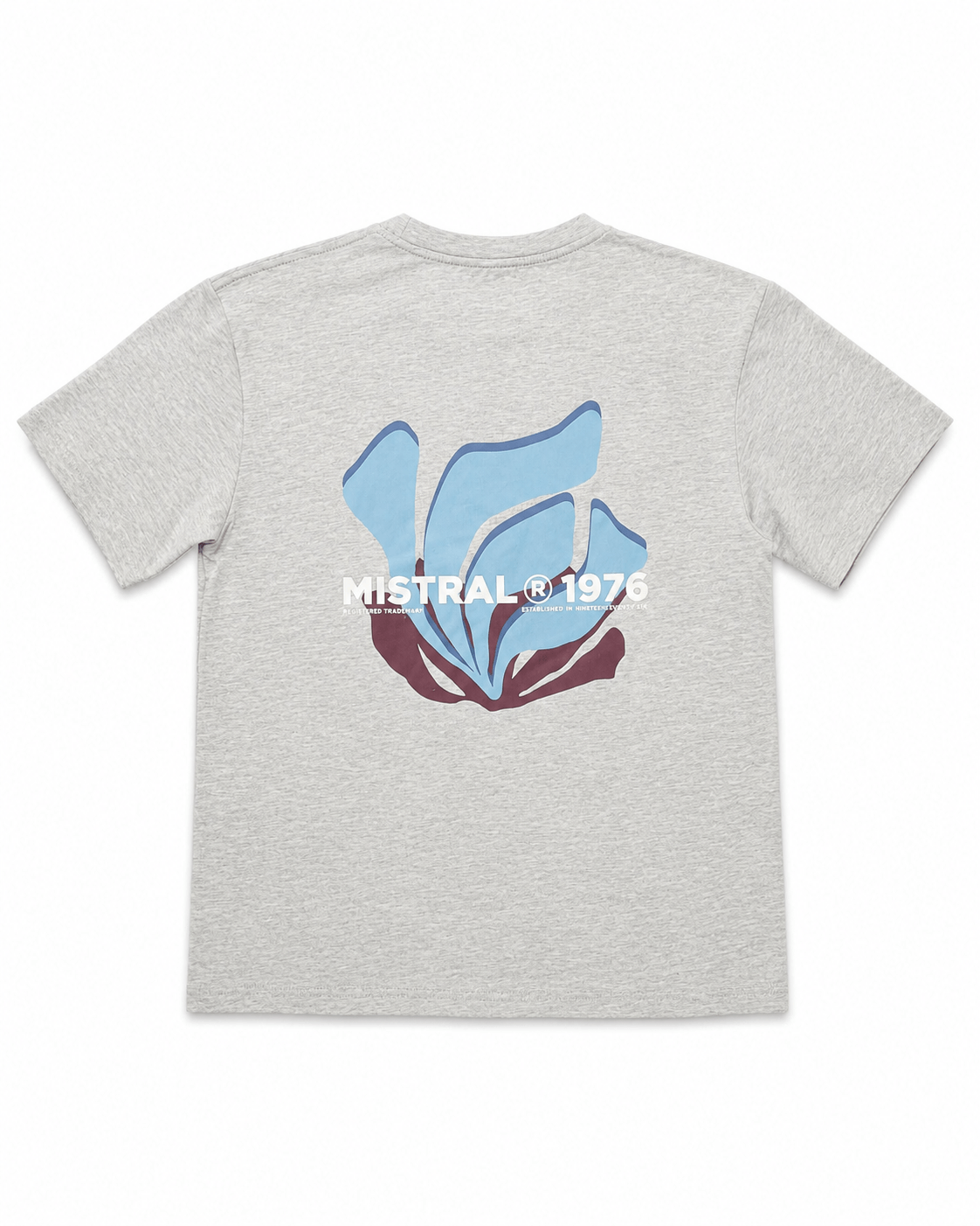 REMERA DE NIÑO OVERSIZE LIND
