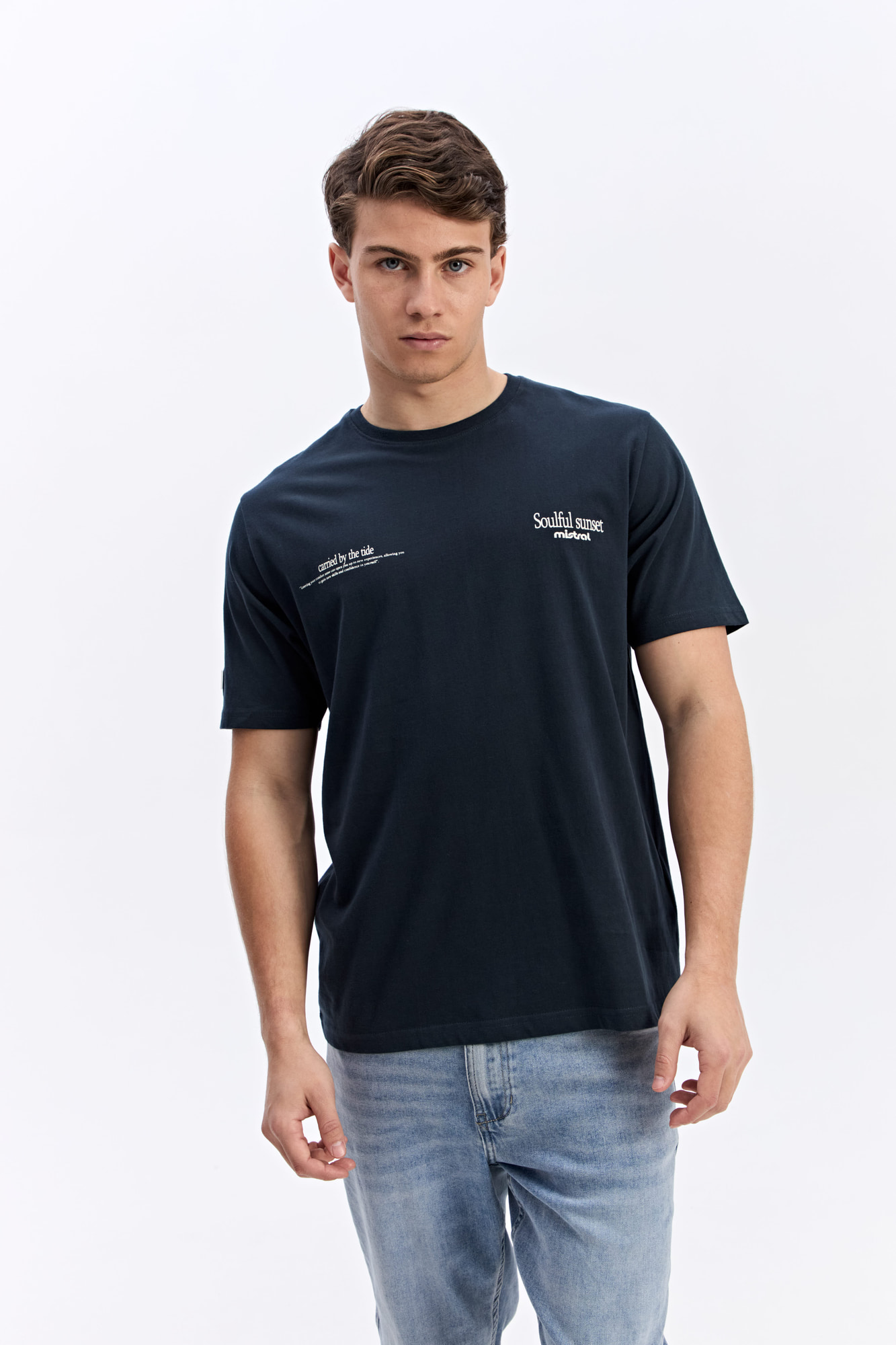 REMERA LION