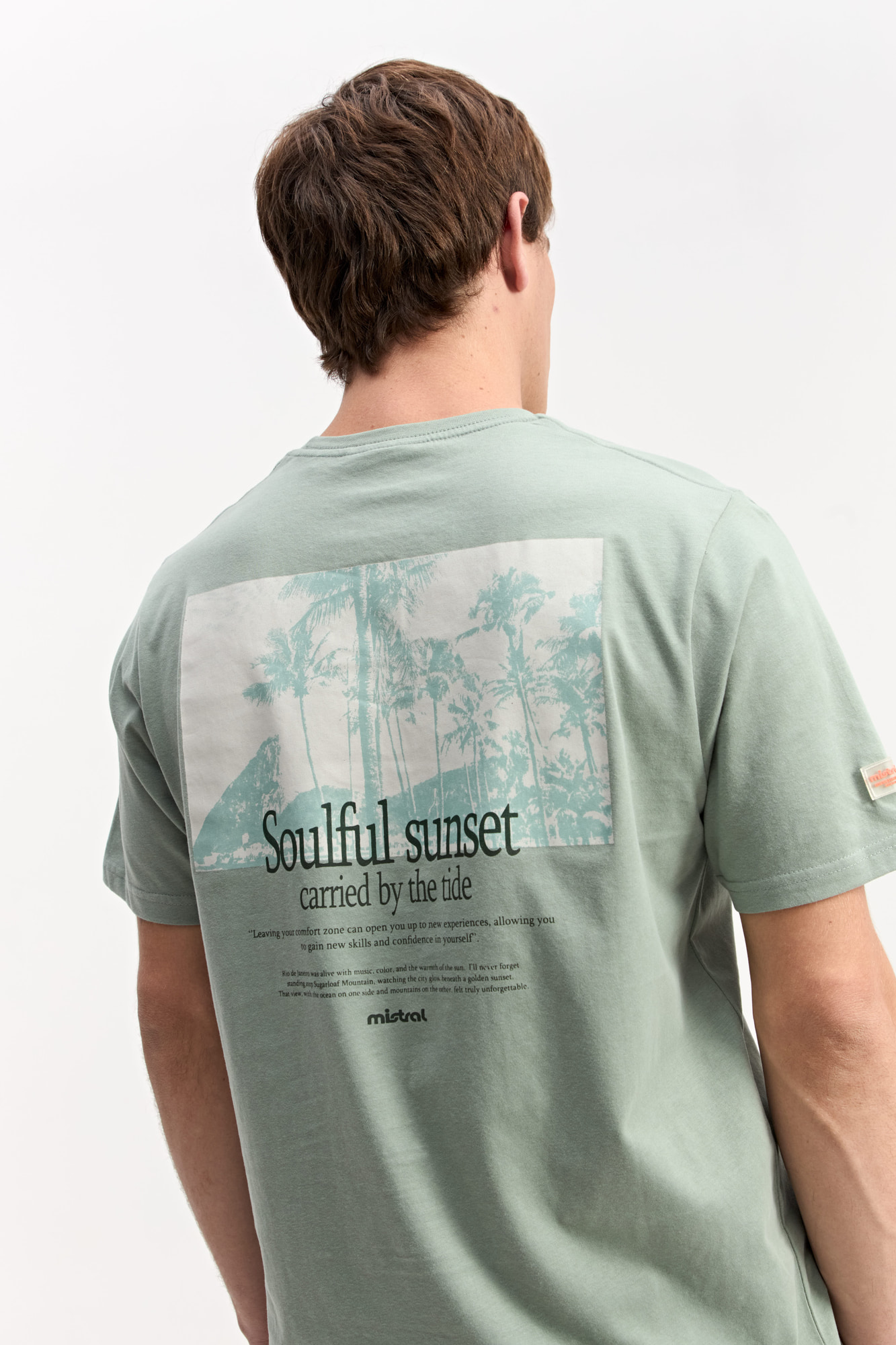 REMERA LION