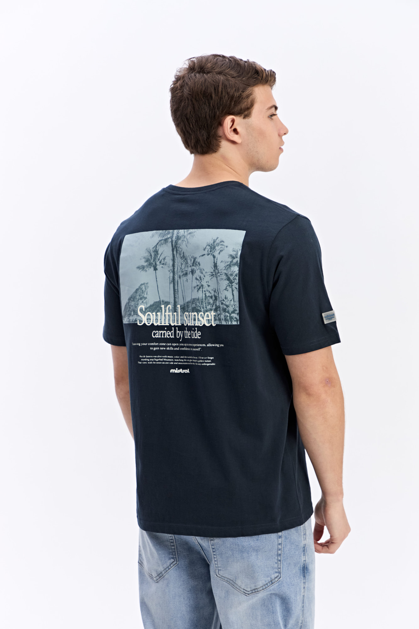 REMERA LION