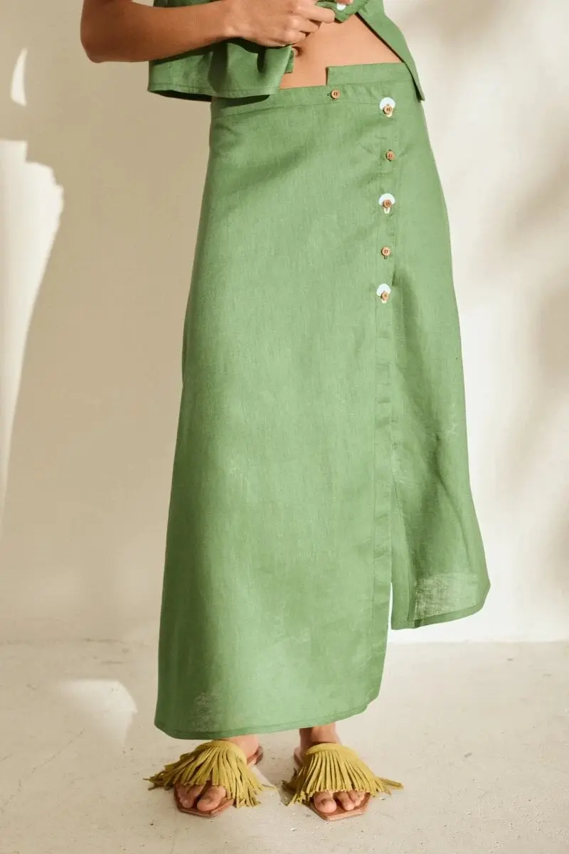 Falda Raiz Bioma