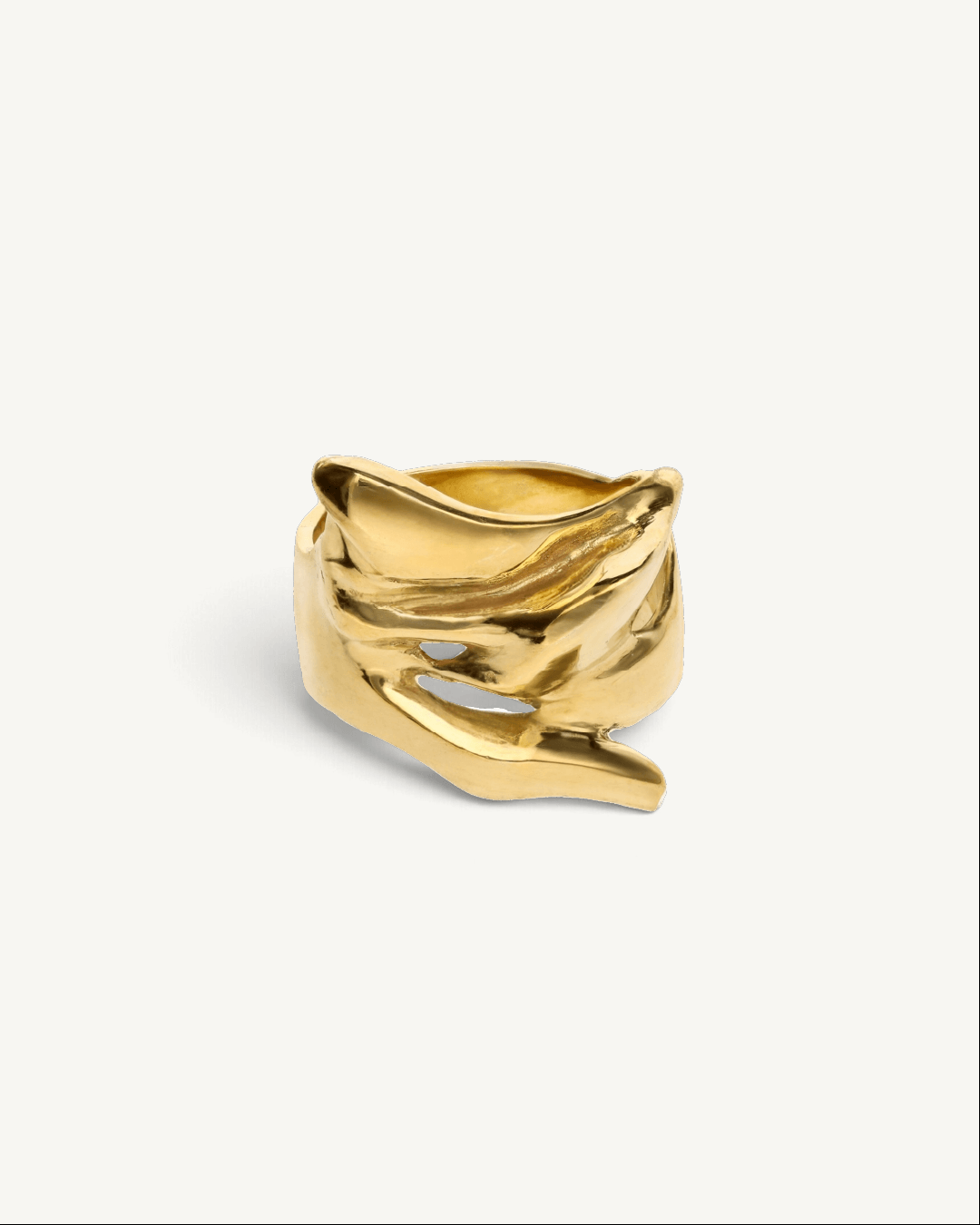 Anillo Firo
