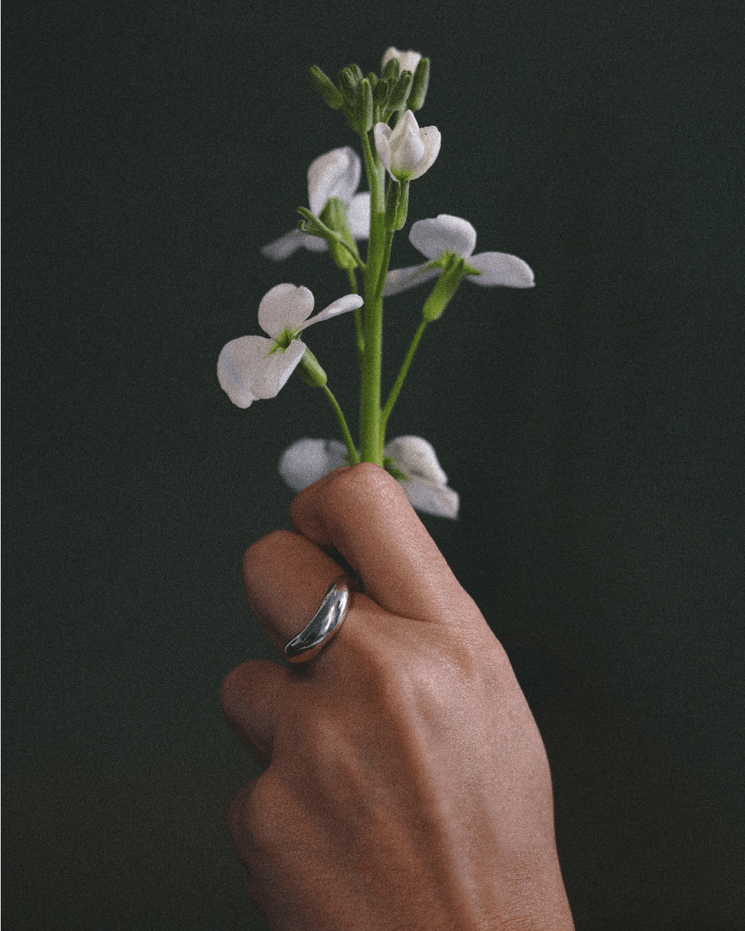 Anillo Eco II