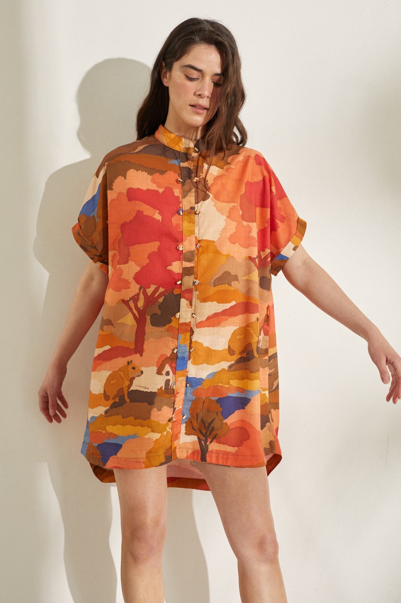 Vestido Japon Print