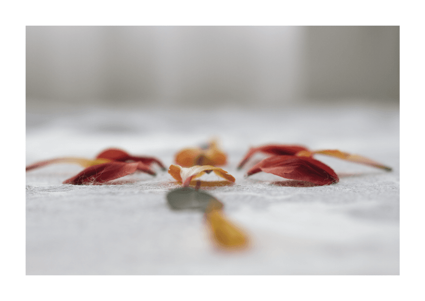 imagen slider