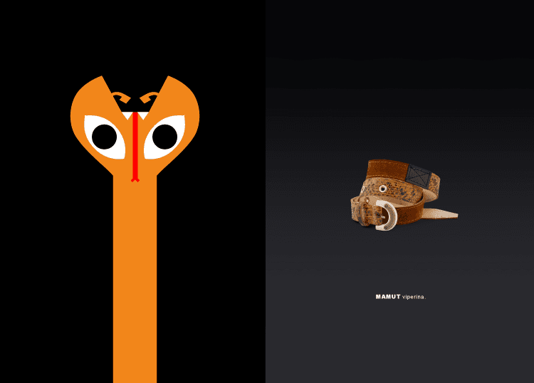 imagen slider