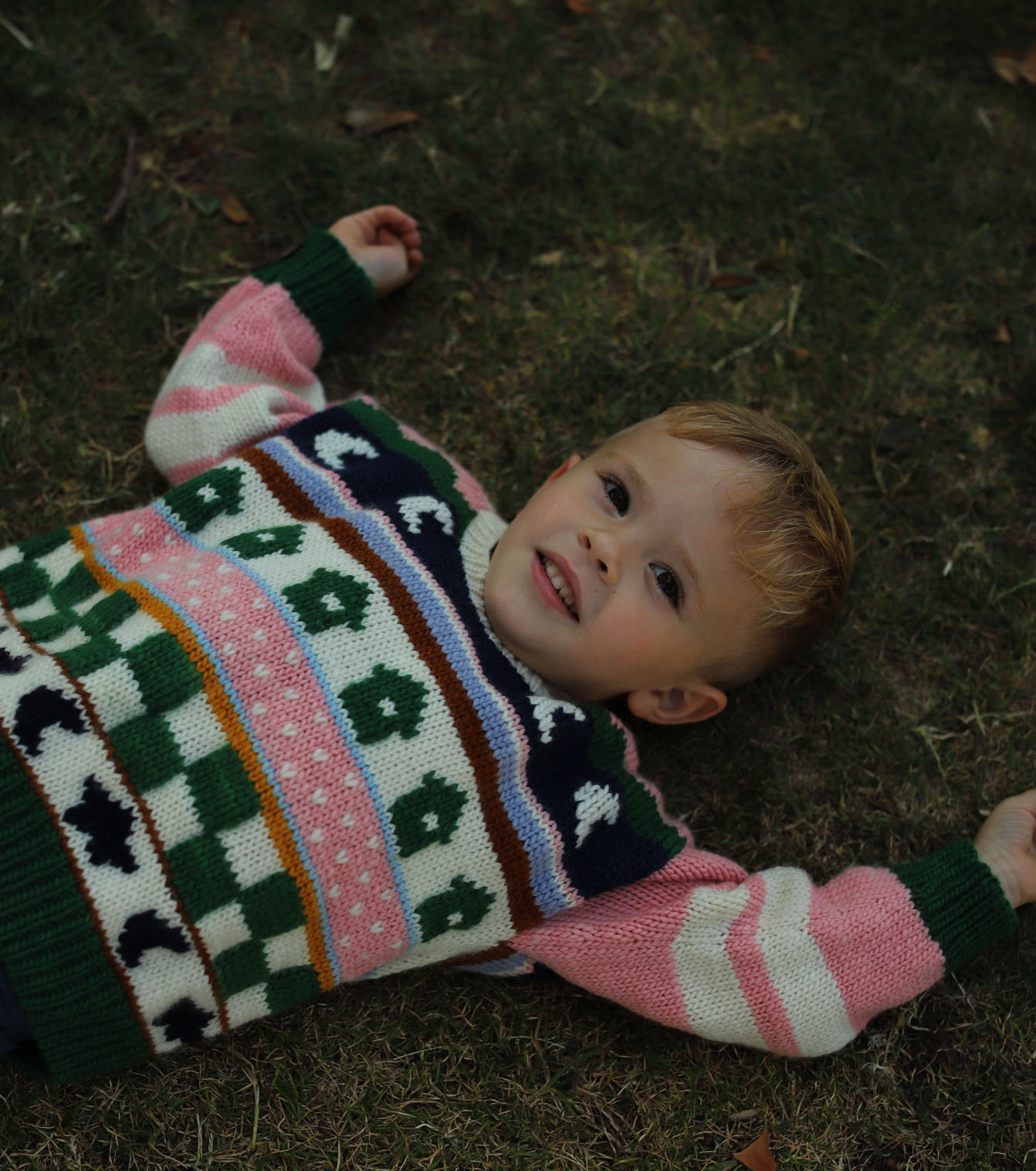 Pink Dione Sweater