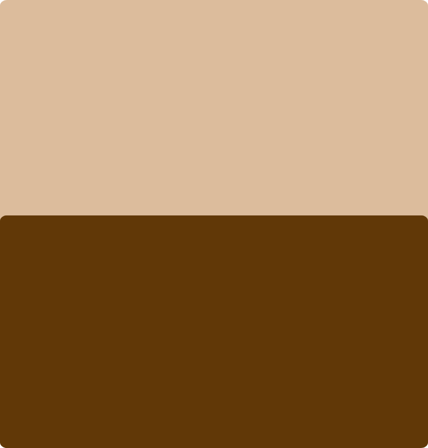 BEIGE Y CHOCOLATE