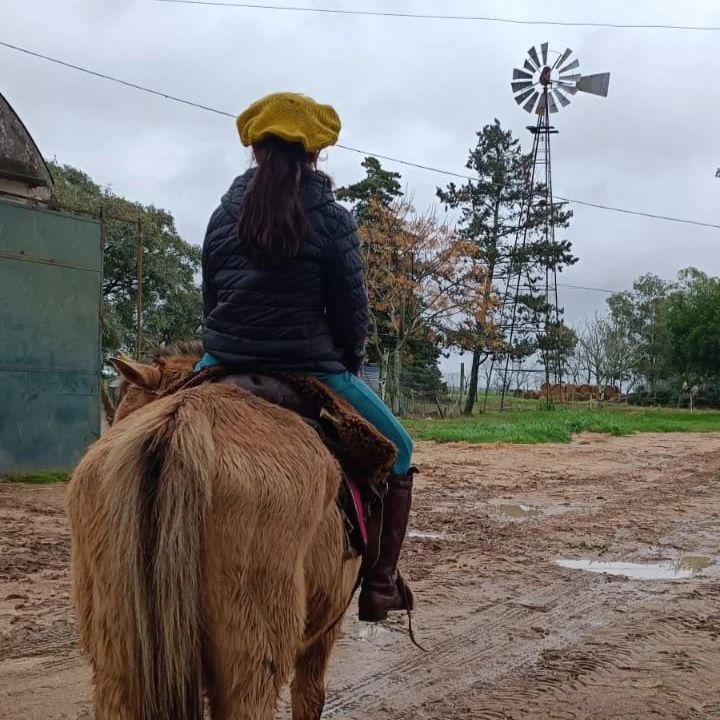 Imagen de posteo de Instagram