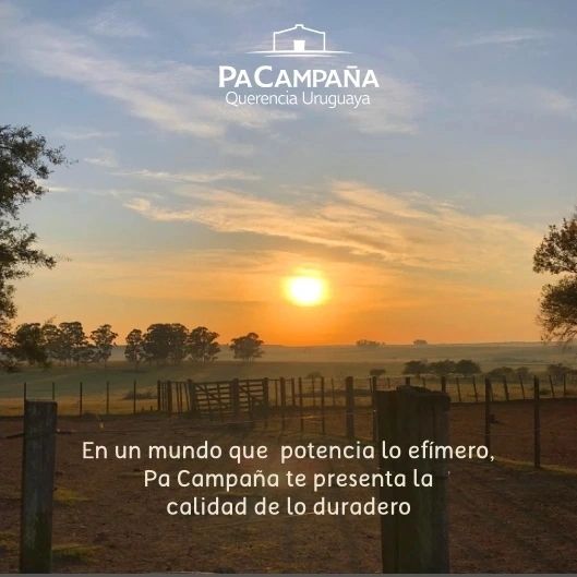 Imagen de posteo de Instagram