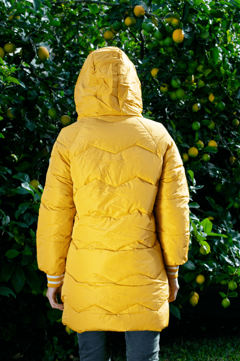 CAMPERA CARMEN 