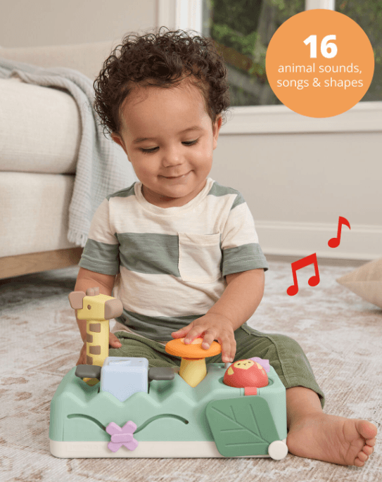 Juego Didactico Musical C/martillo Skip Hop