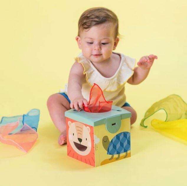 Caja magica bolas y trapitos Taf toys