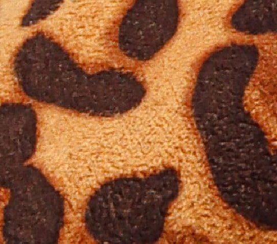 Leopardo
