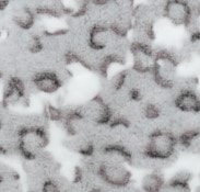 Leopardo Gris