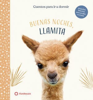 Buenas noches