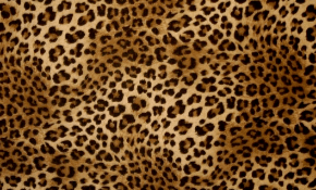 Animal Print