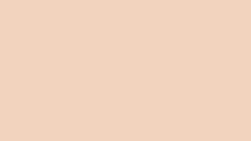 Nude Zapatillas Delfina Nude